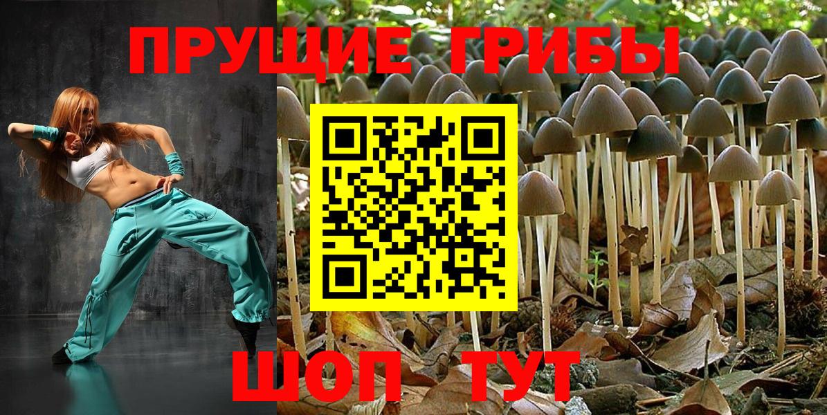 Галлюциногенные грибы MAGIC MUSHROOMS  Псилоцибиновые грибы Cubensis  Гуково  Вход с VPN 