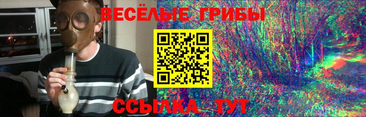 Галлюциногенные грибы MAGIC MUSHROOMS Гуково